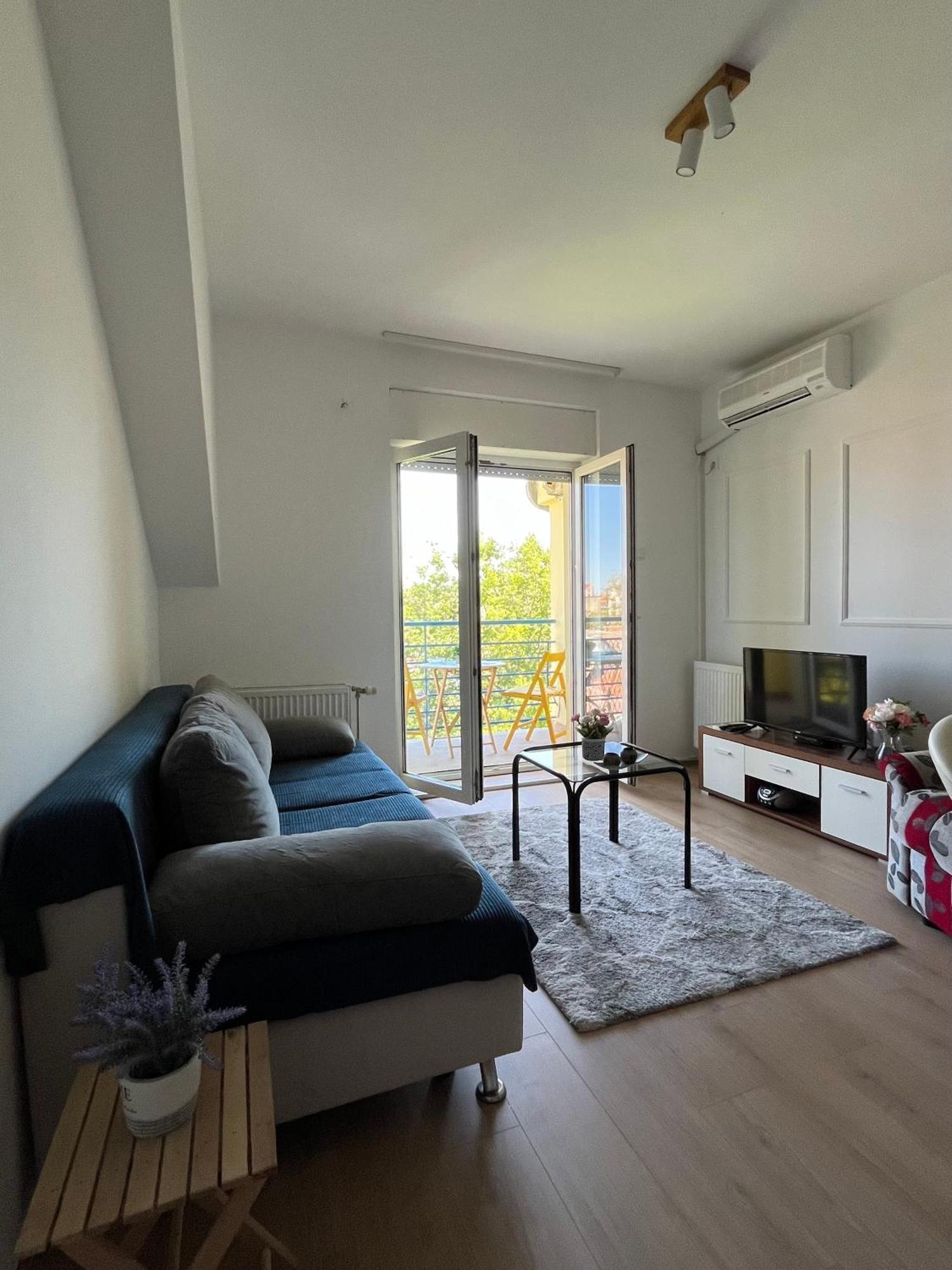 Apartment Vera With Free Garage Novi Sad Buitenkant foto