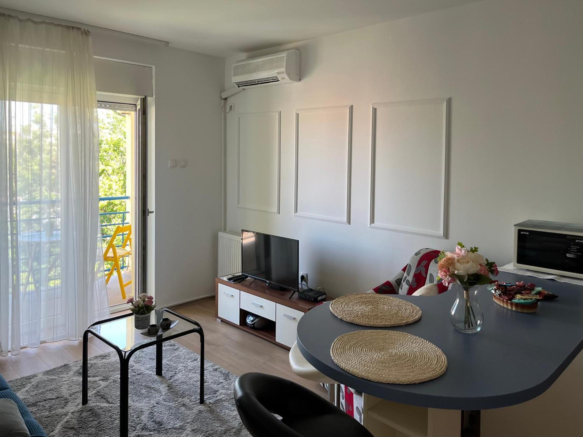 Apartment Vera With Free Garage Novi Sad Buitenkant foto