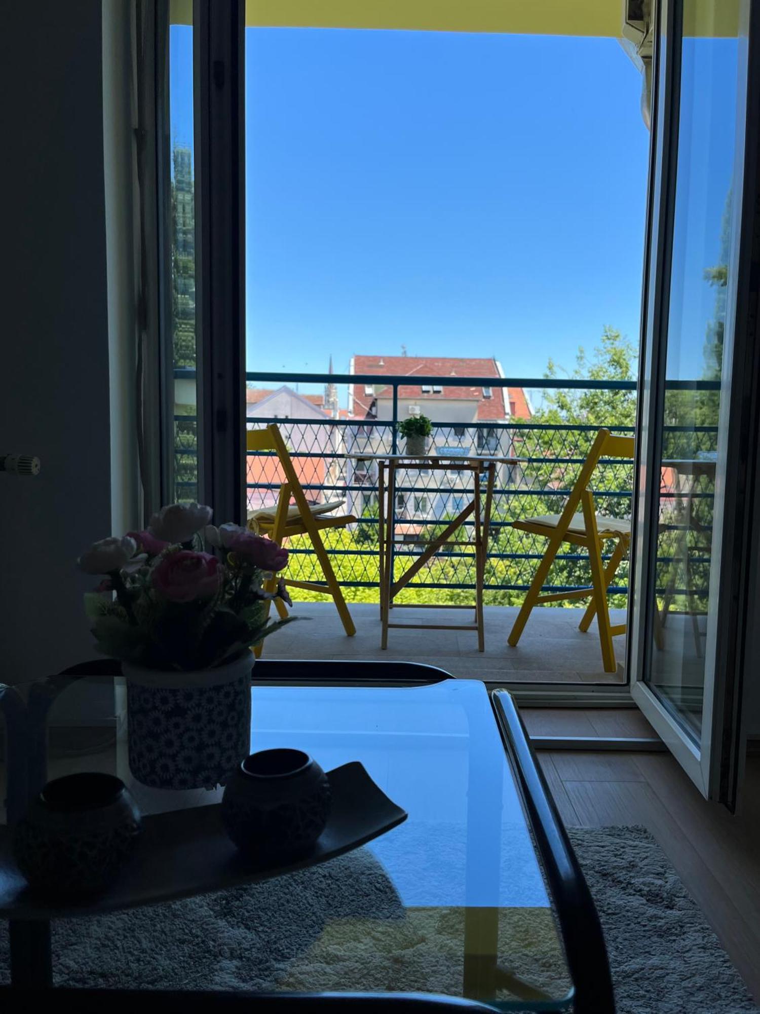 Apartment Vera With Free Garage Novi Sad Buitenkant foto
