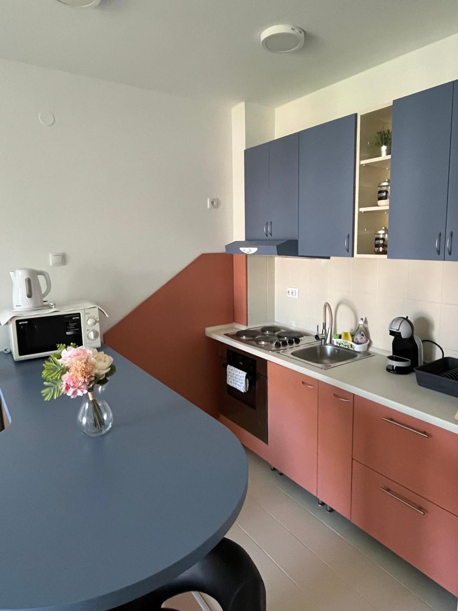 Apartment Vera With Free Garage Novi Sad Buitenkant foto